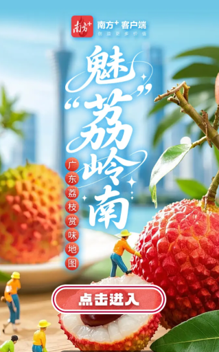 魅“荔”岭南——广东荔枝赏味地图